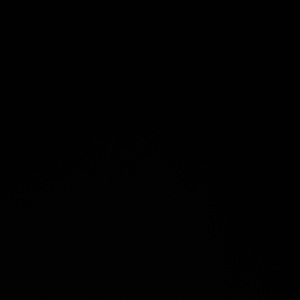 Meet your Posher, Latena